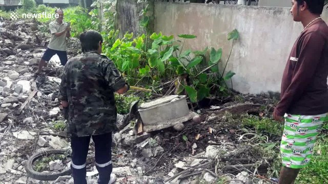 Python caught behind children's centre regurgitates cat