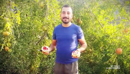 O Ses Türkiye 13.Bölüm izle 12 Kasım 2017 3.Part