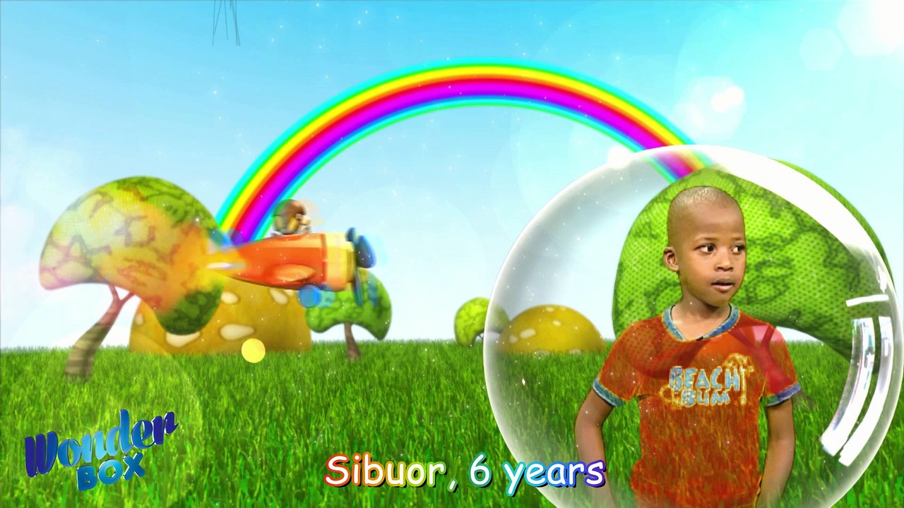 Flying Ballon With Sibuor