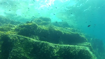 Awesome girl freestyle underwater - eps 3