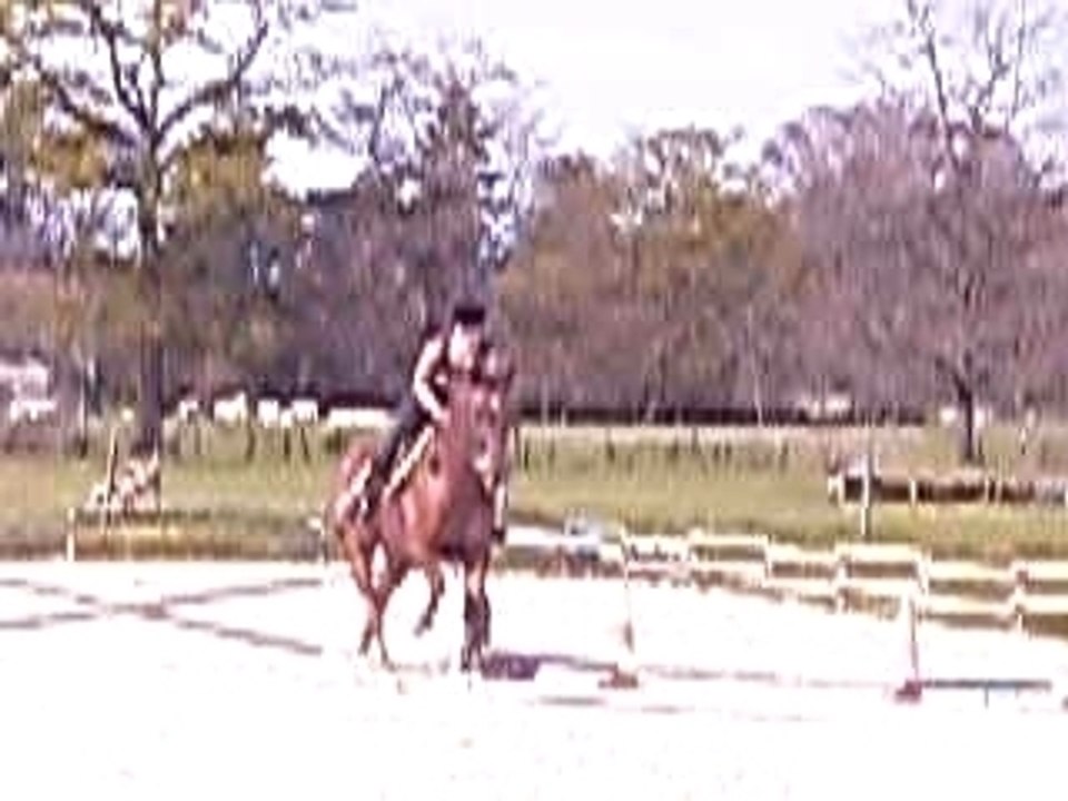 Video saut