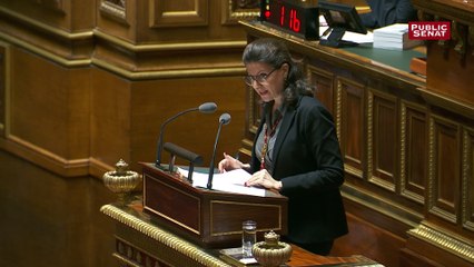 Agnès Buzyn présente le PLFSS devant les sénateurs