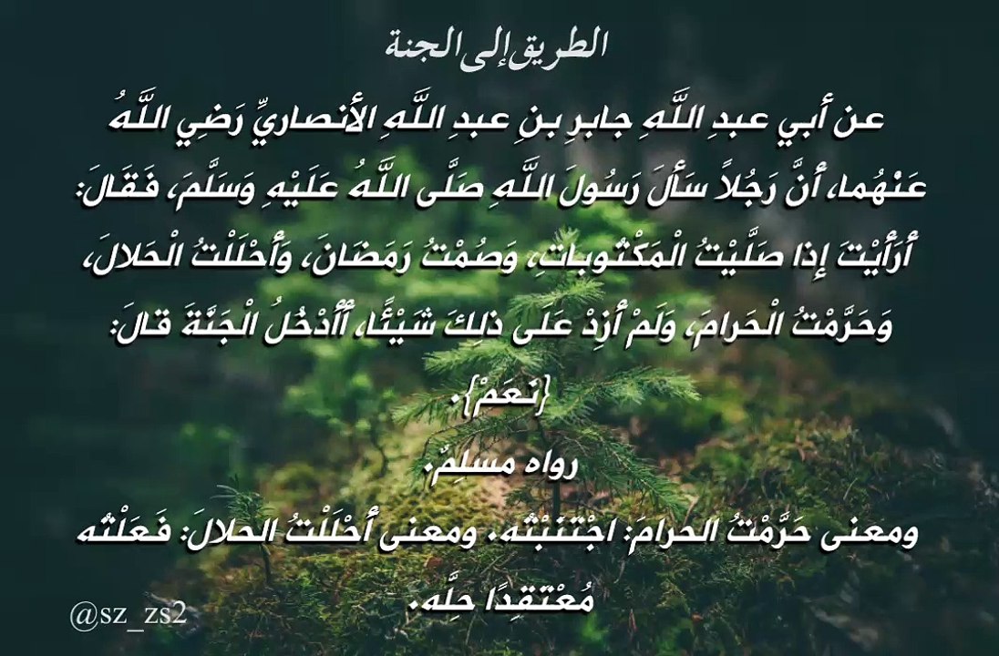 الطريق إلى الجنة