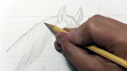 How to Draw a Horse [Narrated Step by Step]