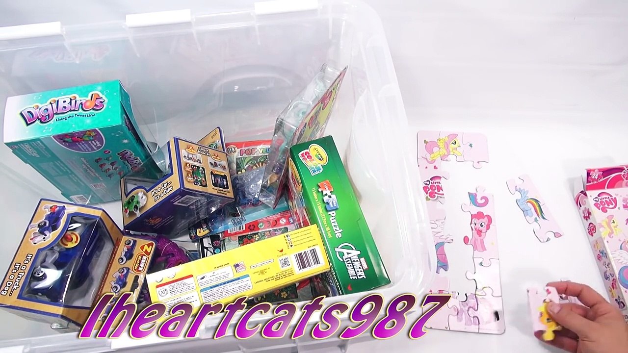 Shout-Out Time! (Video #60) Dave Gets Some Florida Sun! Bin Day