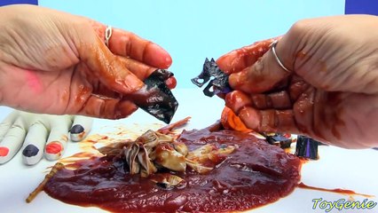 Cutting Squishy Toys in Gross Hands Cute Ice Cream and Bugs