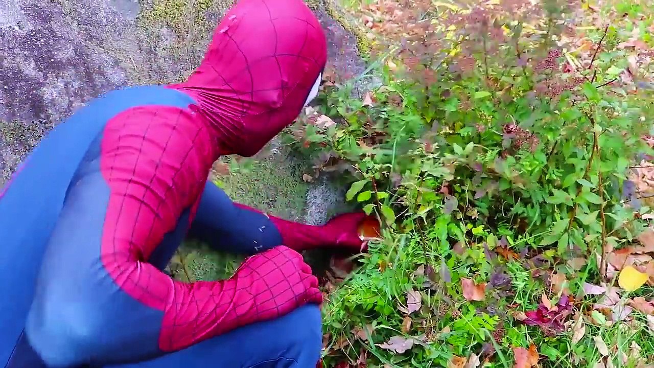 Frozen Elsa & Spiderman Find a TREASURE! w_ Joker Spidergirl Toys! Superhero Fun in real life IRL | Superheroes | Spiderman | Superman | Frozen Elsa | Joker