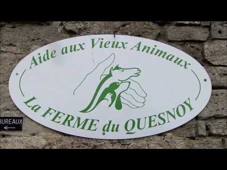 WPT Grand Prix de Paris: WPT Foundation at AVA Refuge