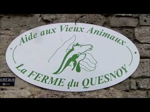 WPT Grand Prix de Paris: WPT Foundation at AVA Refuge