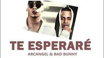TE ESPERARÉ   ARCANGEL ft BAD BUNNY (Audio Oficial) 2018
