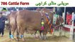 737 | 786 Cattle Farm | Cow mandi 2018/2019 | Karachi Sohrab Goth | Pakistan Cattle Expo