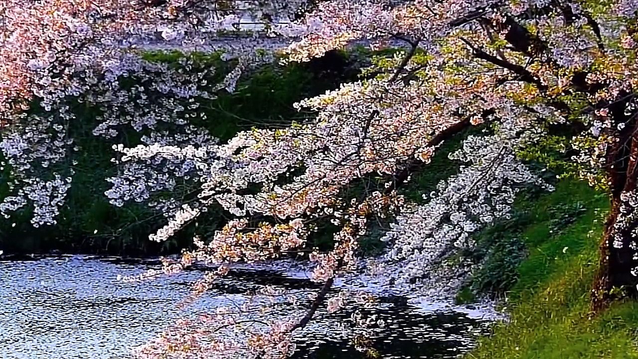 21 - MEDITACIÓN DE PAZ