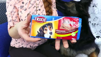 Обычная Еда против Собачей еды ! СЪЕЛИ СОБАКУ ! DOG FOOD VS HUMAN FOOD!