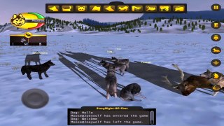 WolfQuest Multiplayer -Pack Life- Android/iOS/Kindle - Gameplay Episode 14