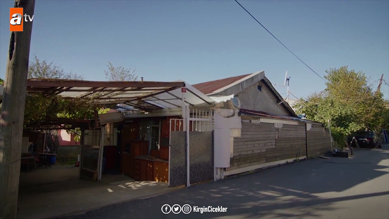 Serap için acı gerçekler! - Kırgın Çiçekler 97.Bölüm