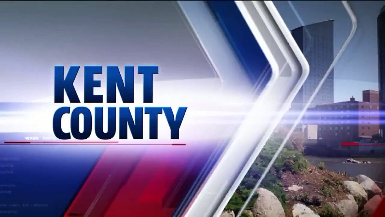 Vet, Service Dog Denied Entry to Michigan Bar During Veterans Day Weekend