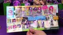 Princess Twilight Sparkle Birthday Bash 2017! 8 NEW My Little Pony Reviews! | Bins Toy Bin