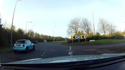 Ce cygne ne veut pas que cette voiture continue son chemin