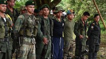 La UE retira a las FARC de su lista de grupos terroristas