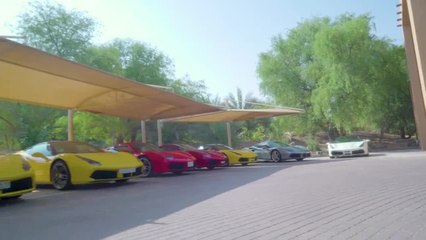 Embrace your emotions