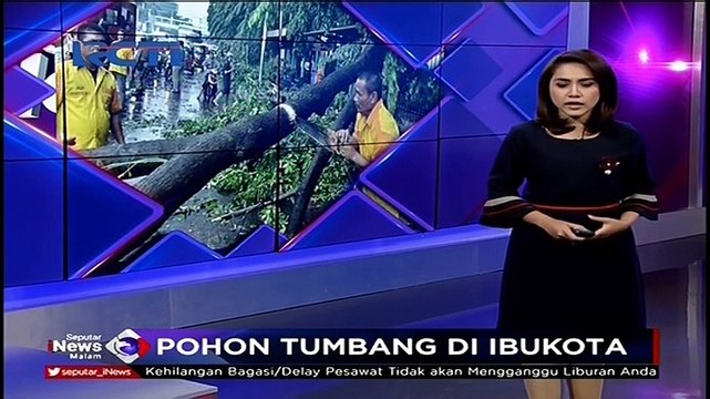 Hujan Deras, Pohon Tumbang di Ibu Kota