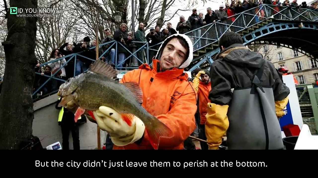 They Drained This Canal For The First Time In Decades, And What They Discovered Is Truly B