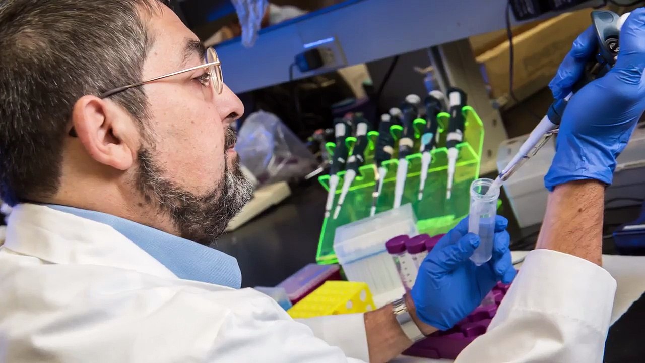 Diabetes Research Institute Foundation: Focused on Finding a Cure | America's Charities
