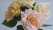 Paper Roses- Roses en papier