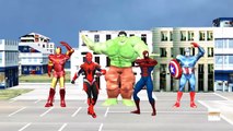 Hulk colors vs dinosaur Finger family rhymes 3d animation - Skeleton kids superheros Finger family