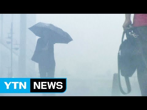 [날씨] 오늘 '소서' 중부 장맛비...남부 무더위 / YTN (Yes! Top News)