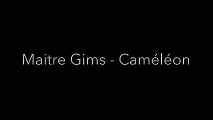 (LYRICS) Maitre Gims - Caméléon