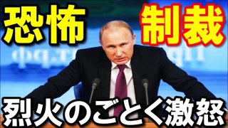 【衝撃】日本と韓国が外交断絶？ その理由を烈火のごとく激怒するロシアのプーチン大統領が教えてくれた！ 驚愕の真相！『海外の反応』