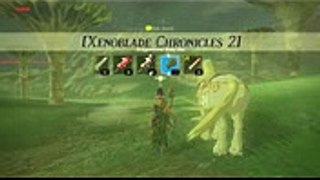 Breath of the Wild - Xenoblade Chronicles 2 Armor Guide