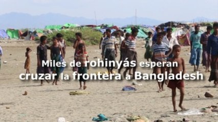 Miles de rohinyás esperan poder cruzar la frontera a Bangladesh