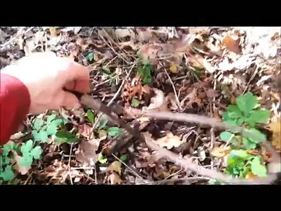 Attacked By Hornets STING STING STING!!! (76)