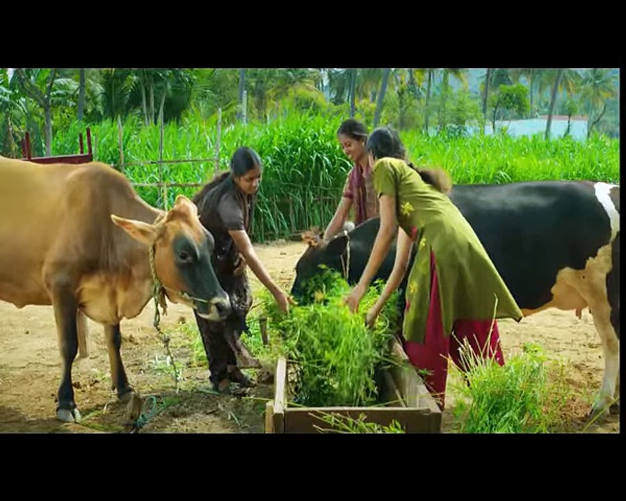 Arokya Milk Family Ad video Dailymotion
