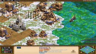 AoE2HD - Craziest Game Ive Ever Played! (Capture The Relic)