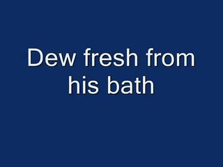 Is Dew not the cutest thing ever?