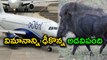 IndiGo flight hits wild boar at Visakhapatnam airport