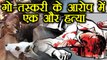 Rajasthan:  Muslim man killed in Alwar for transporting cows | वनइंडिया हिंदी