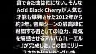 L ―エル― 　「Acid Black Cherry」