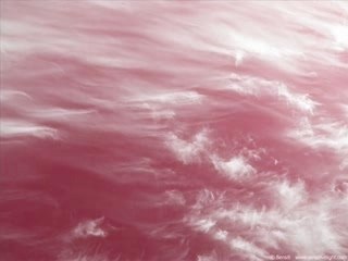 Lads Hope - Original Version for My Sister's Birthday 🎉