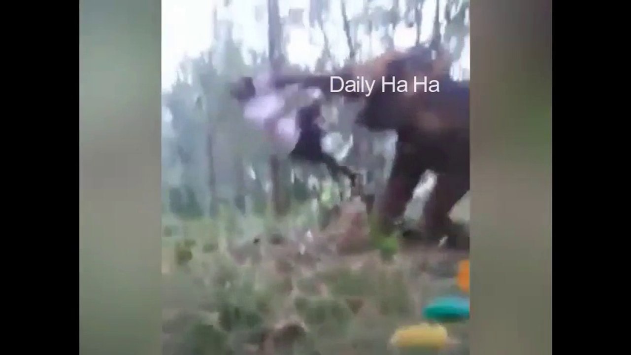 Man tried Bahubali Stunt , Throw away by elephant
