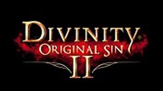 Divinity Original Sin 2 - The Final Battle (1)