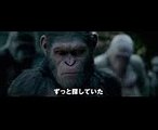 映画『猿の惑星：聖戦記（グレート・ウォー）』予告A