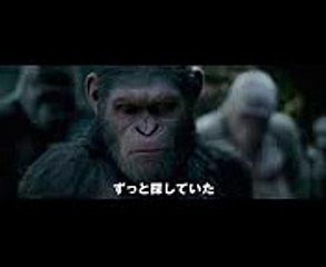 映画『猿の惑星：聖戦記（グレート・ウォー）』予告A