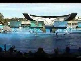 mes cheris du san diego2