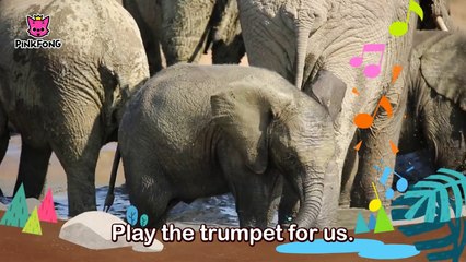 Mr. Fun Elephant _ Elephant _ Animal Songs _ Pinkfong Songs for Children-z4FbTIldHys