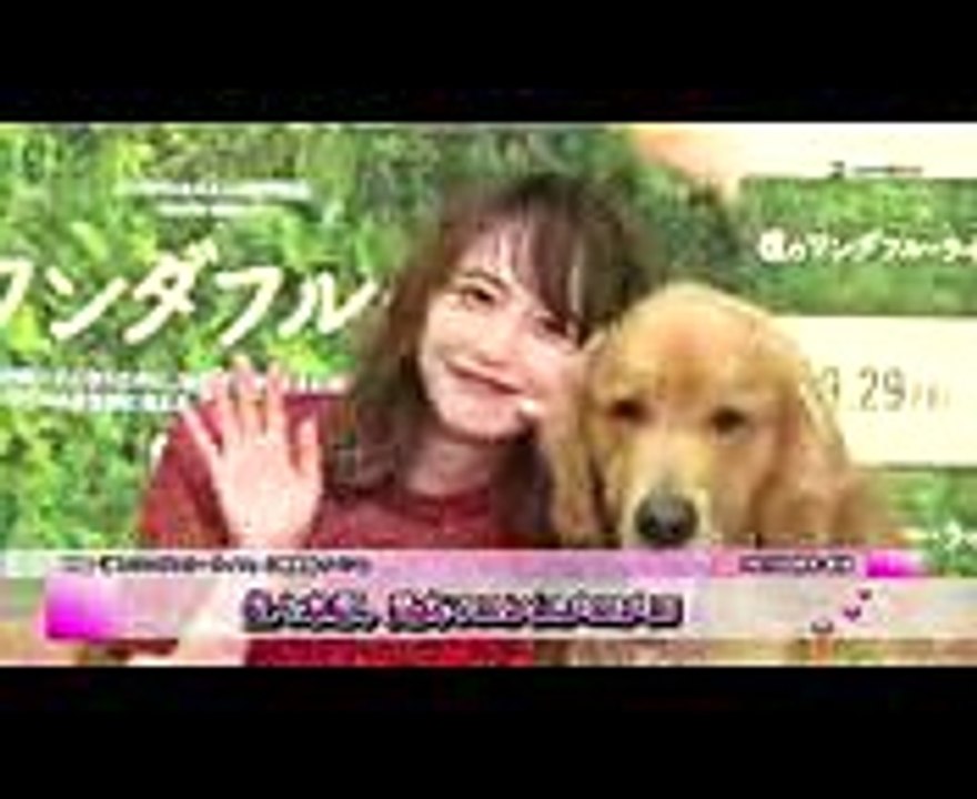 佐々木希、愛犬マロンにメロメロ