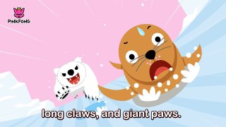 Paw Paw Polar Bear _ Polar Bear _ Animal Songs _ Pinkfong Songs for Children-ymuZNOBK7yw